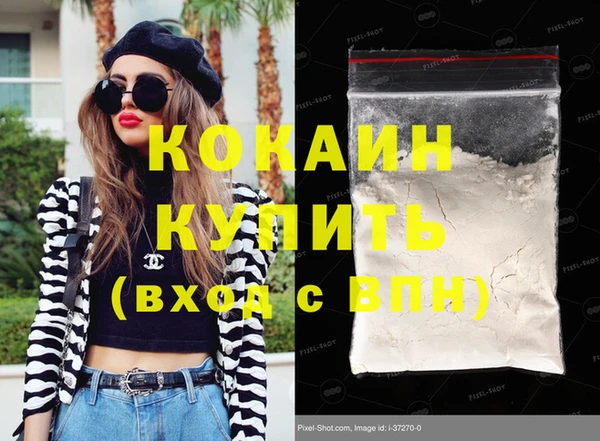 сатива Богданович