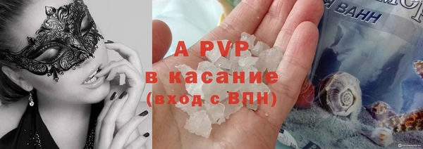 сатива Богданович