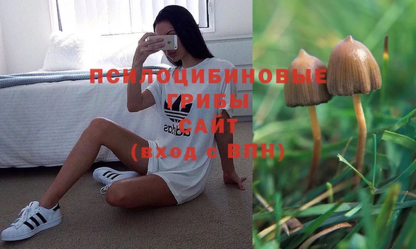 бошки Беломорск