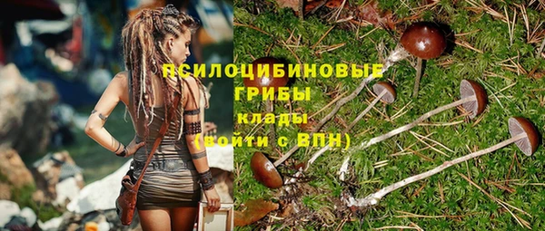 Альфа ПВП Богородск
